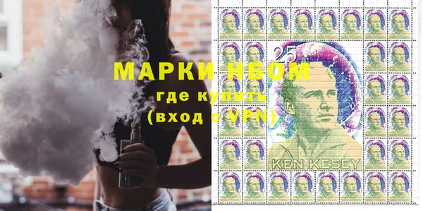 шишки Корсаков
