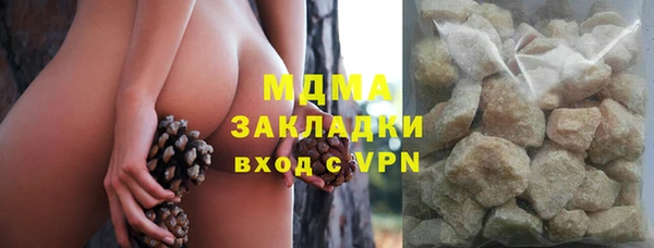 шишки Корсаков