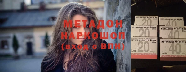 шишки Корсаков