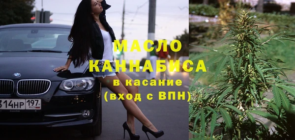 шишки Корсаков