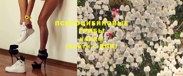 spice Данков