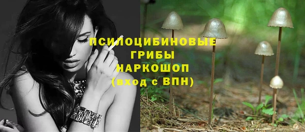 apvp Коряжма